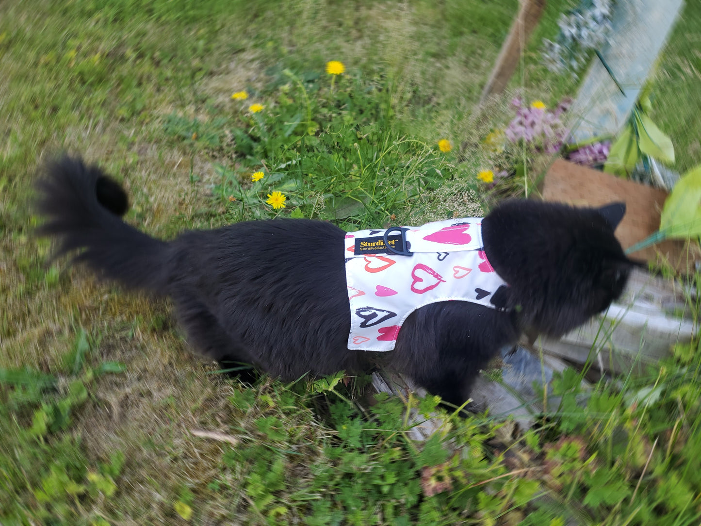 LE Walking Vest
