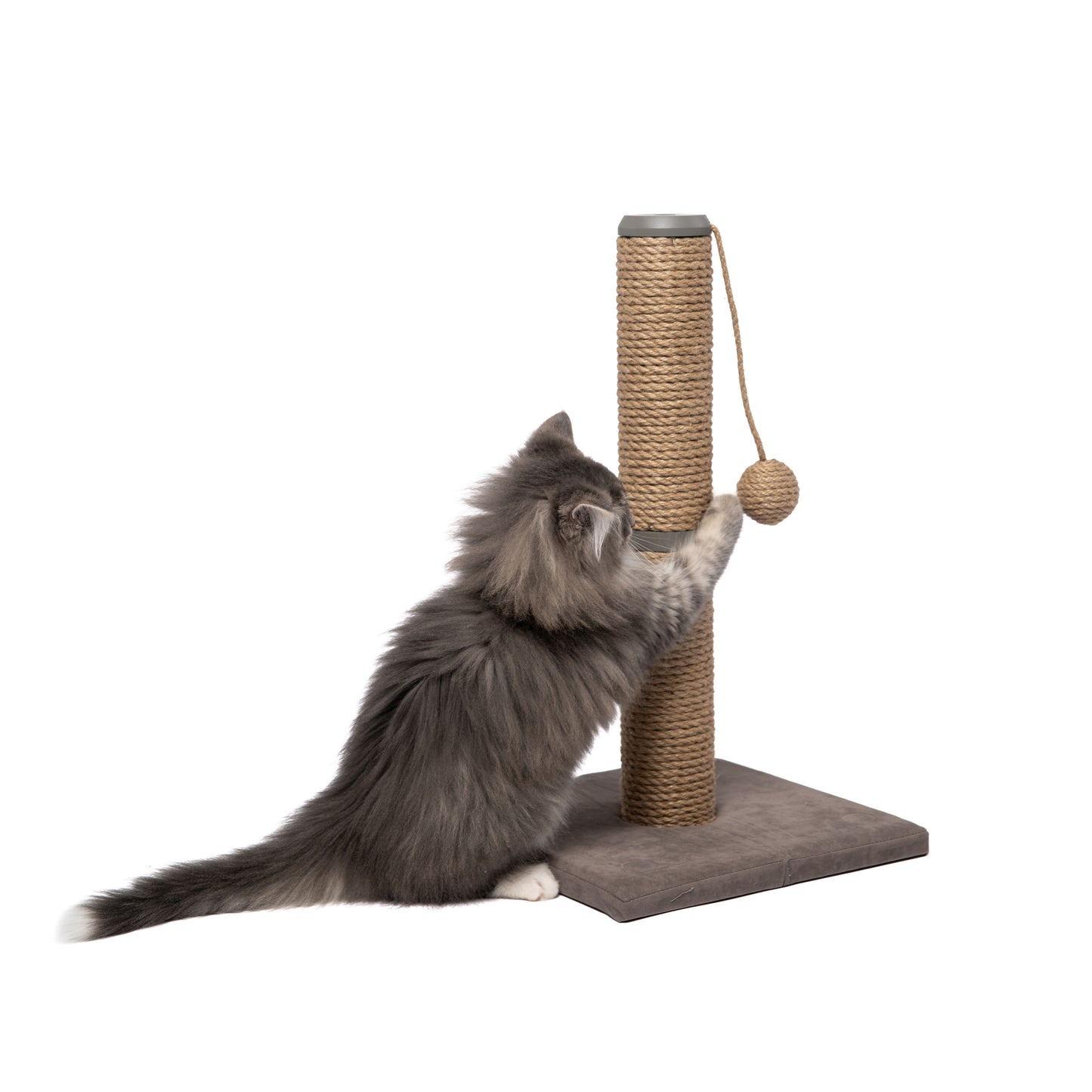 Scratch Post - 19.5"