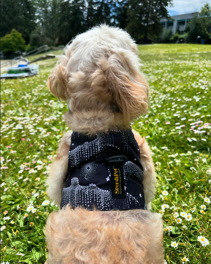 LE Walking Vest