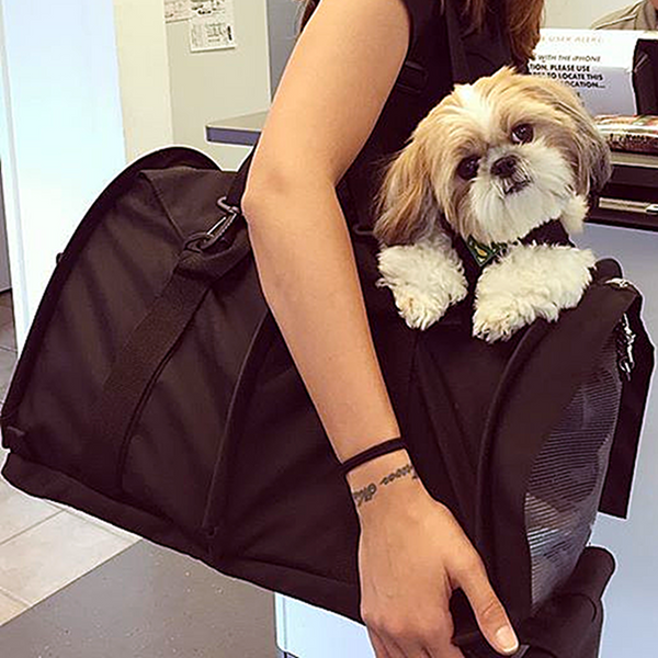 Fashion Pet Dog Carrier Purse Foldable Dog Cat Handbag Leather