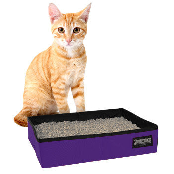 Sturdi Box - 2 Gallon - Purple - Sturdi Products - 20
