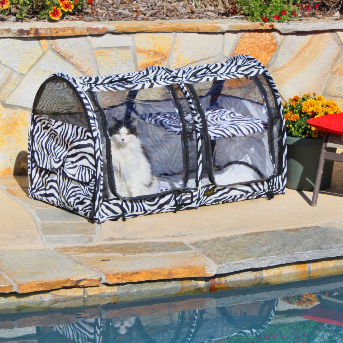 6 tips to keep pets safe during summer celebrations