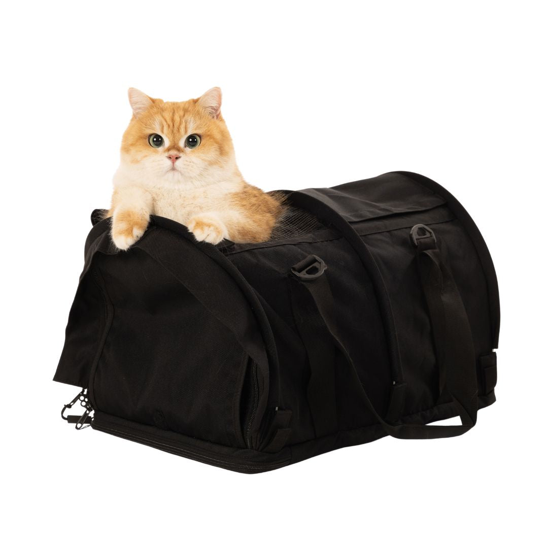 Pop Up Kennels and Pet Carriers