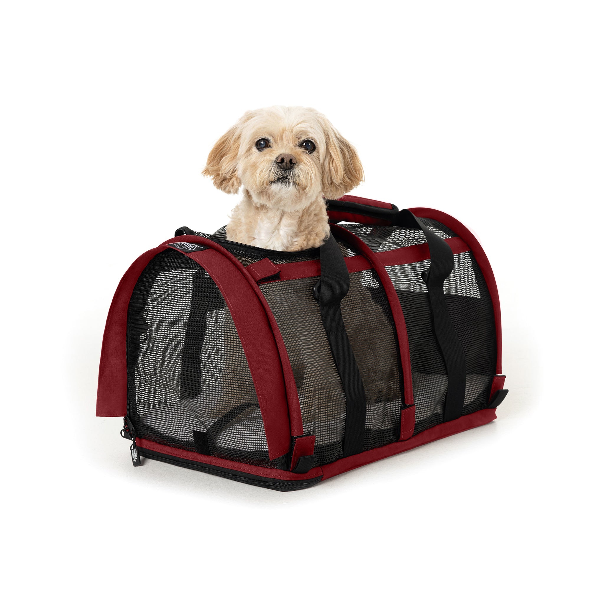 SturdiBag™ All Mesh | Airline-Approved Soft Cat & Dog Carrier