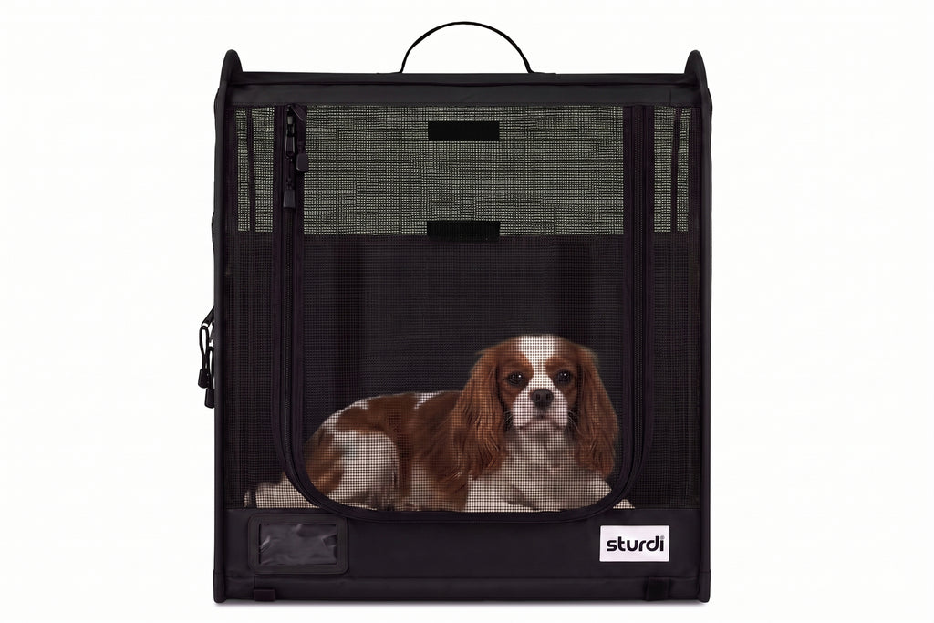 CarGo Portable Pop-Up Kennel