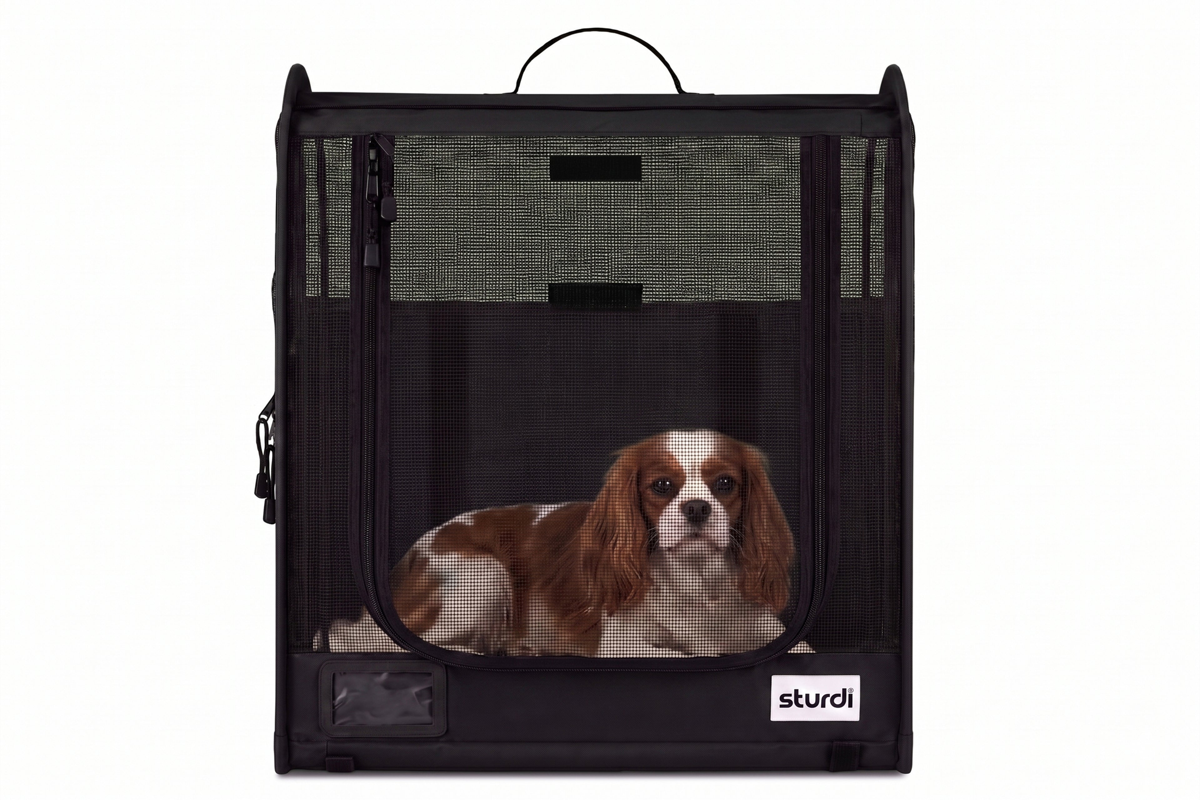 CarGo Portable Pop-Up Kennel