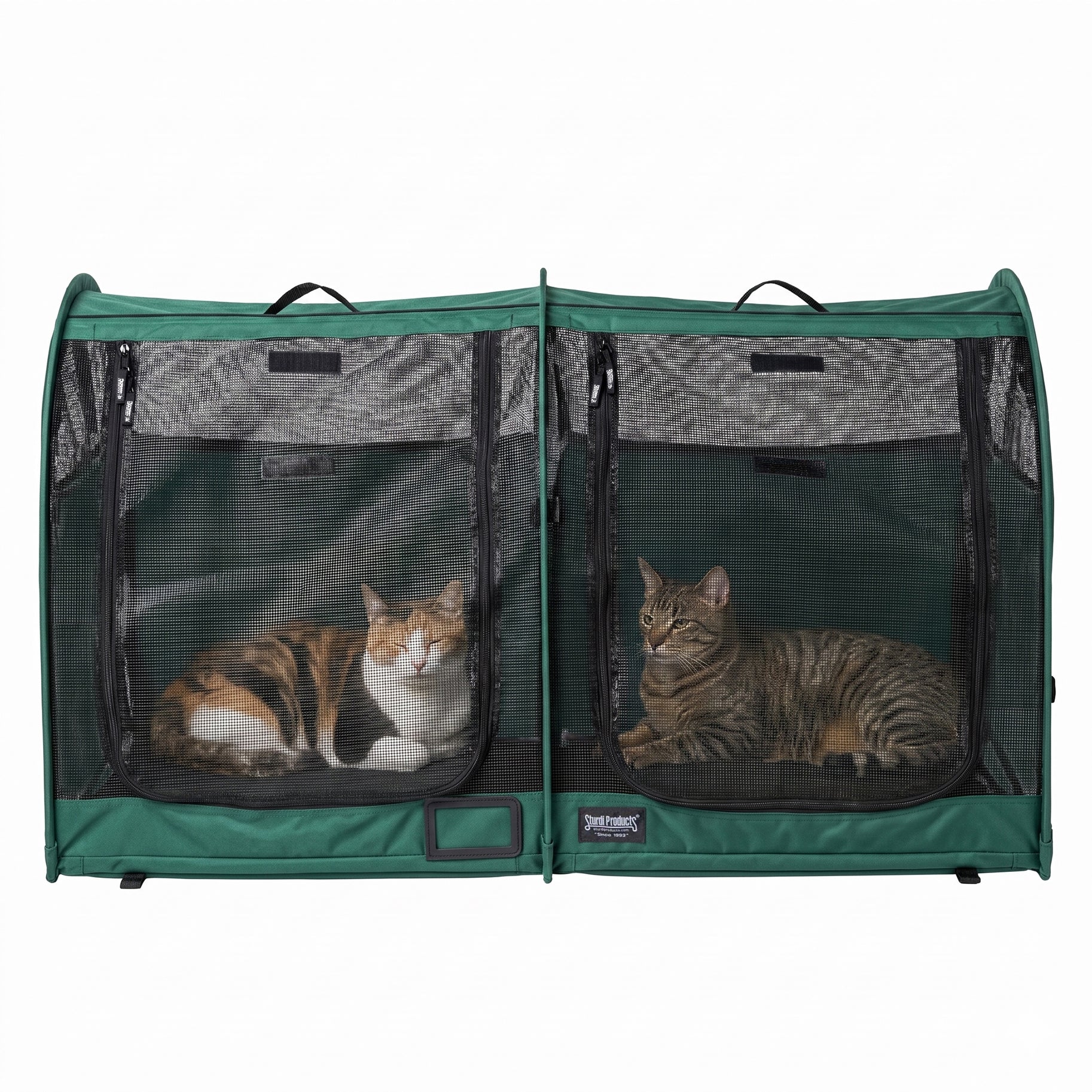 CarGo Portable Pop-Up Kennel