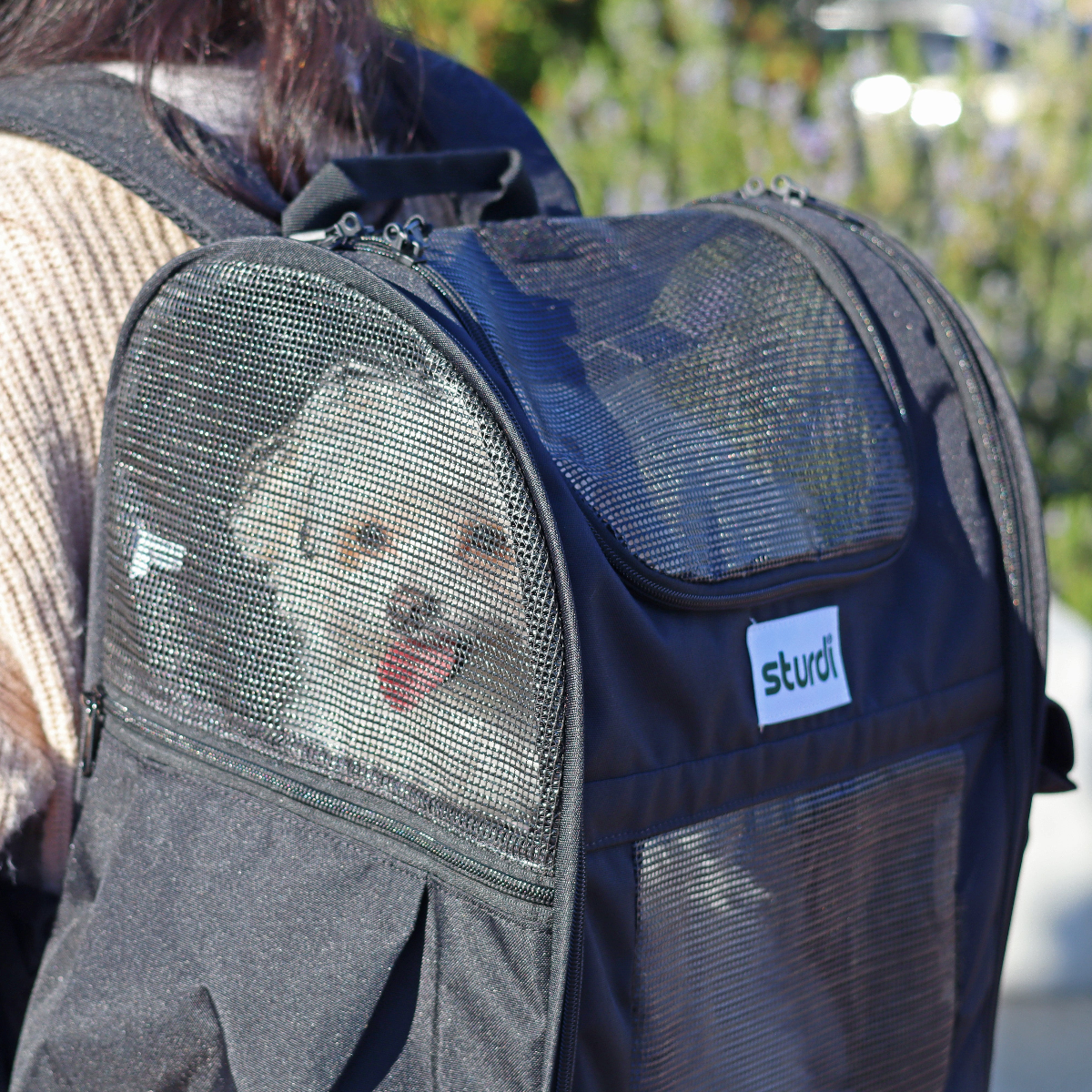Sturdi everyday pet backpack on person walking with trees in background