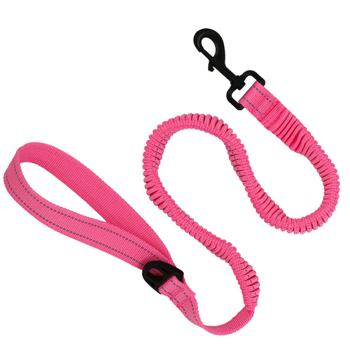 Bungee Pet Leash