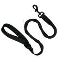 Bungee Pet Leash