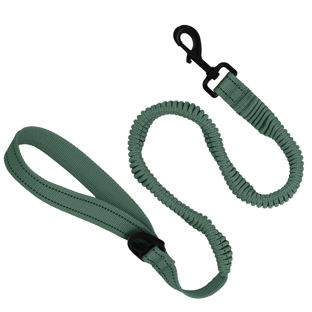 Bungee Pet Leash