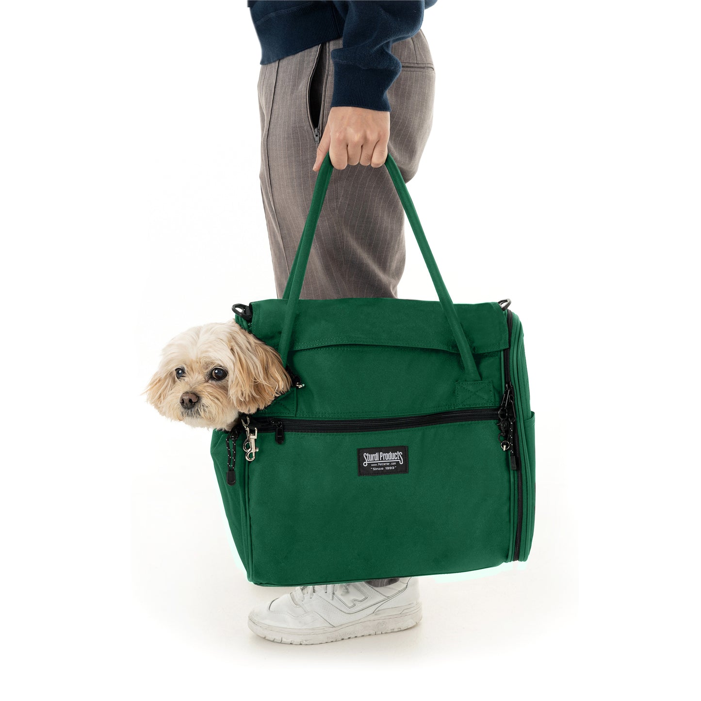 Incognito Pet Carrier