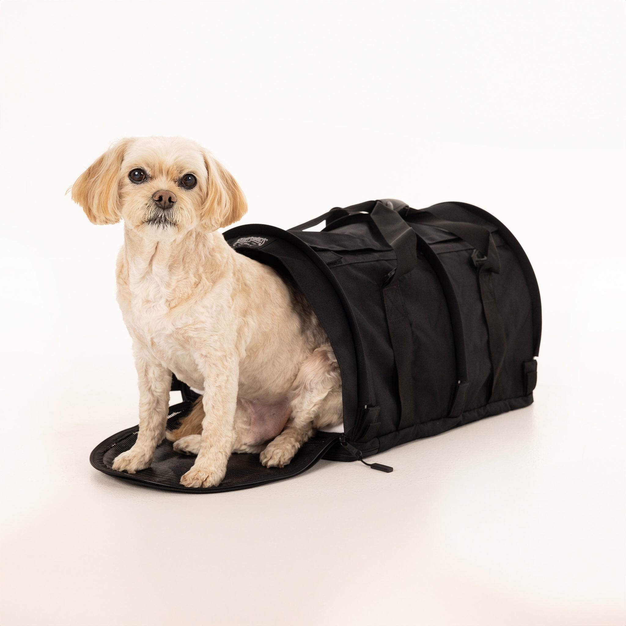 SturdiBag Pro 2.0 Haustiertragetasche XL – Weiche Seiten, Sicherheitsclips & Gurte – Für Auto, Reisen (nicht Flugtauglich)