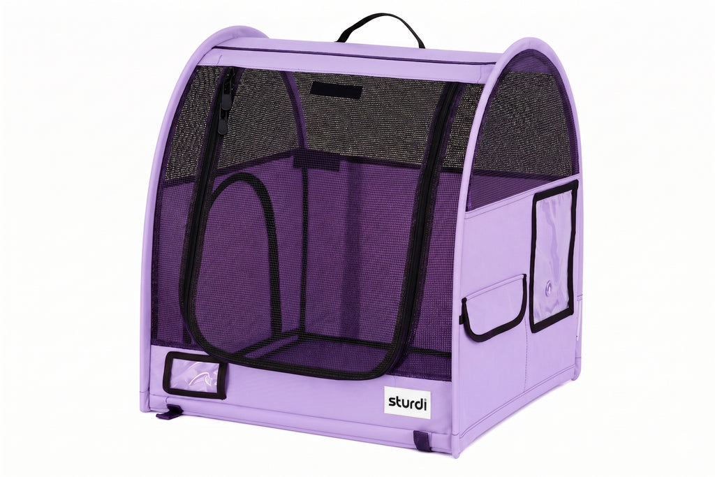CarGo Portable Pop-Up Kennel