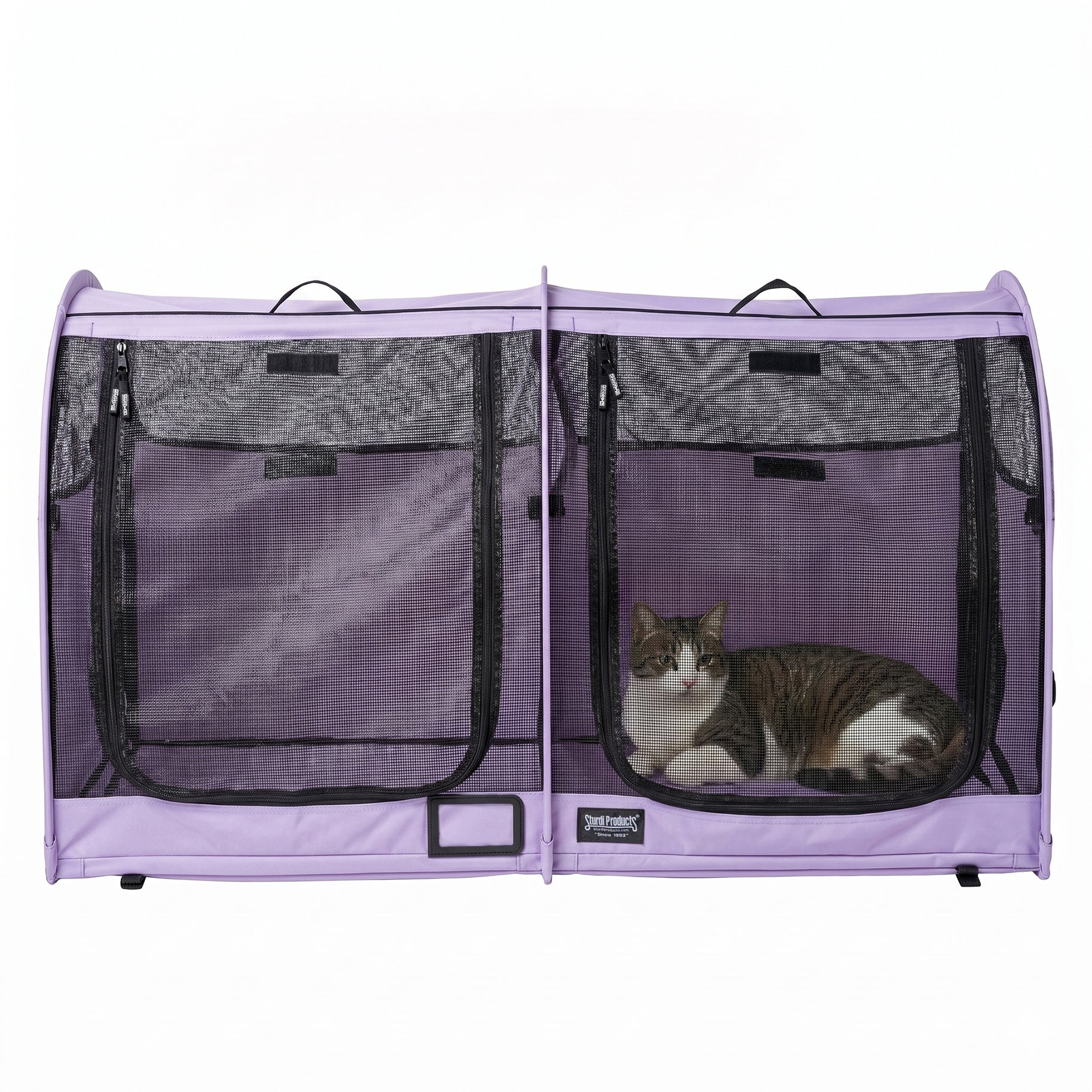 CarGo Portable Pop-Up Kennel