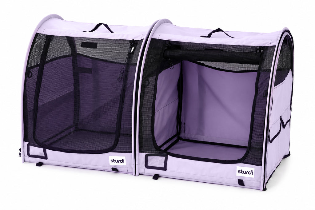 Modular Portable Pop-Up Kennel