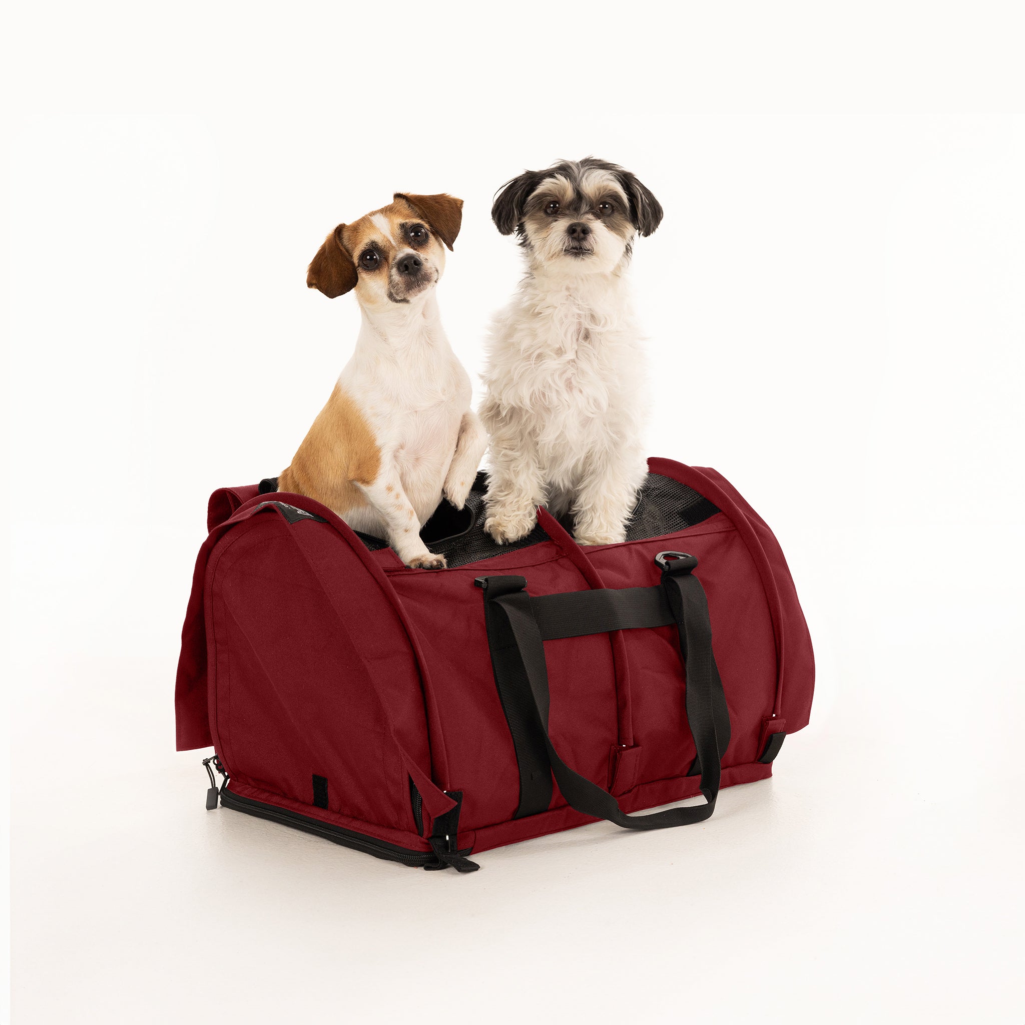 Sturdibag extra large flexible height fashion pet carrier