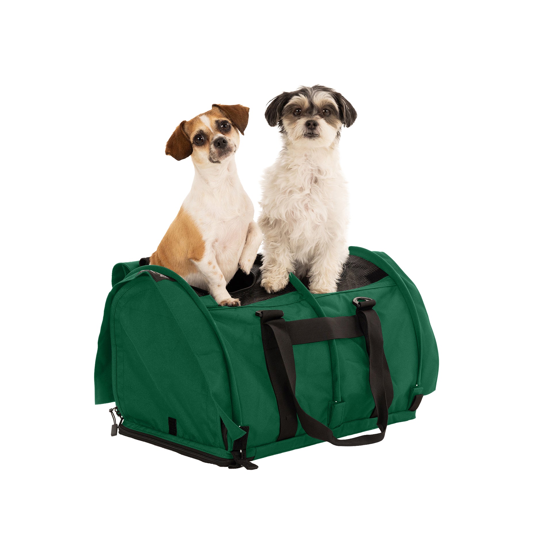 Divided SturdiBag Large Pet Carrier: Compartment For 2 Pets, Flexible Height For Cat And Dog Soft Sided With Safety Clips And Seatbelt
