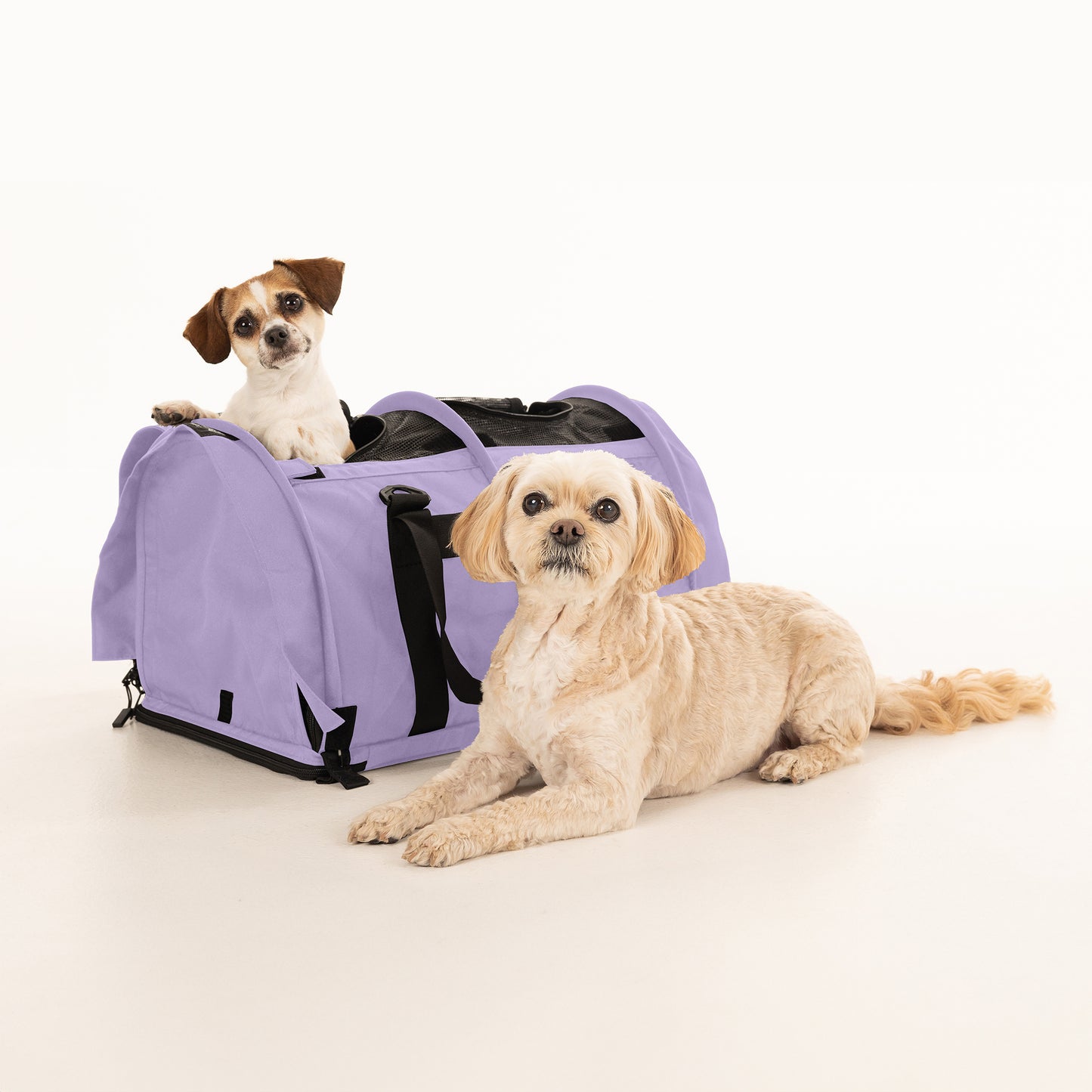 SturdiBag™ Pro 2.0 - Divided