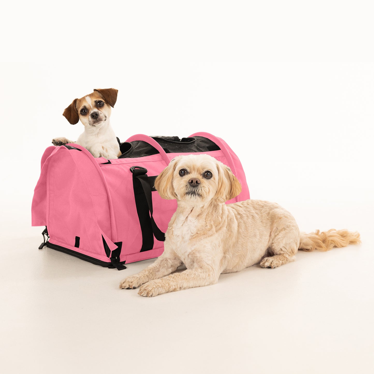 SturdiBag™ Pro 3.0 - Divided