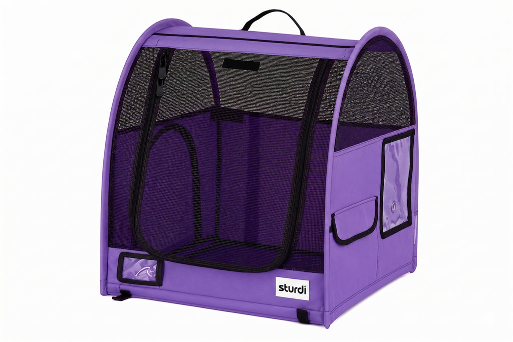 CarGo Portable Pop-Up Kennel