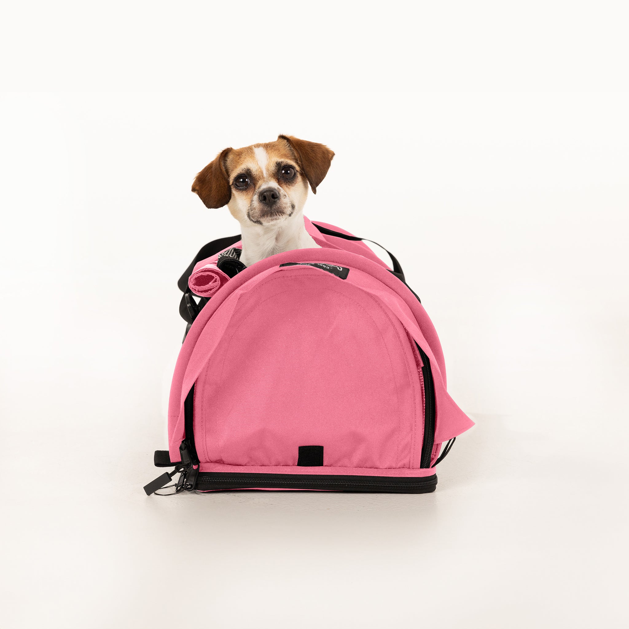 Sturdi Products for traveling pets and their people!