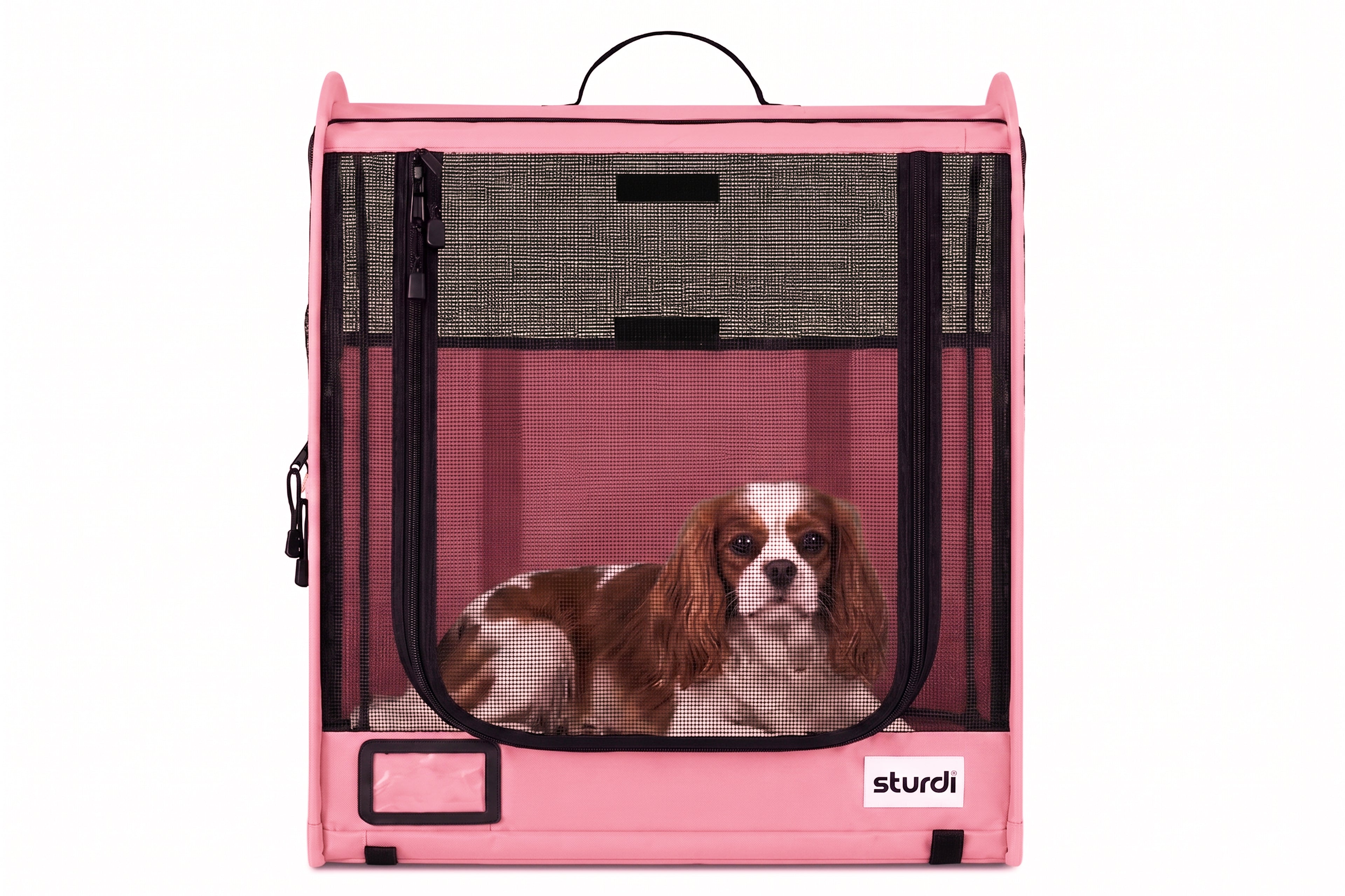 CarGo Portable Pop-Up Kennel