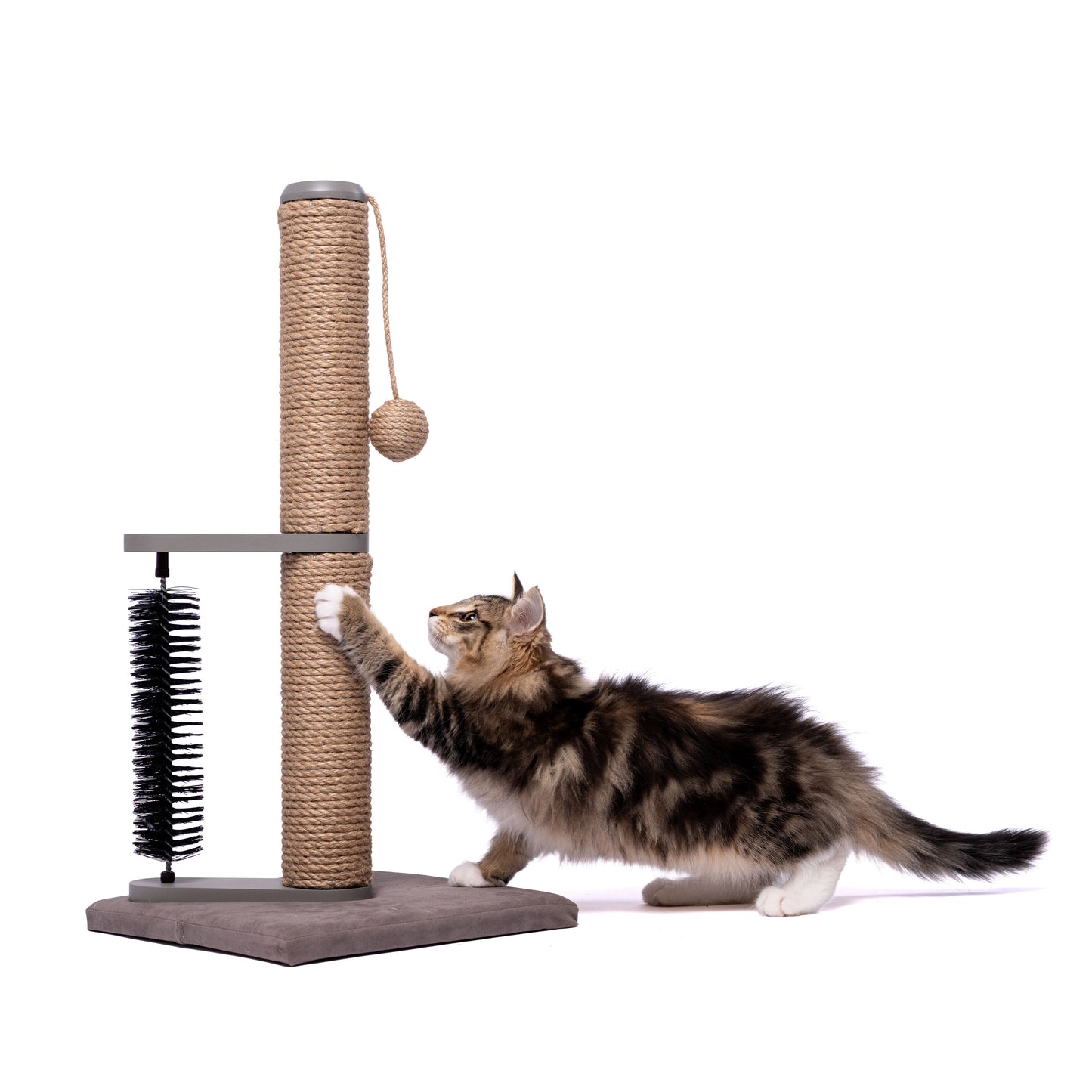 Scratch Post with Brush - 24"