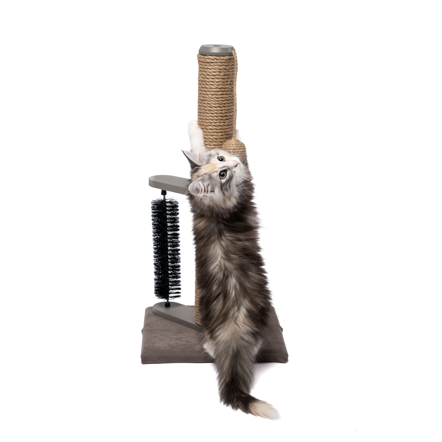 Scratch Post with Brush - 24"