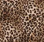 Limited Edition EZ Drape Privacy Cover for Pop-Up Kennels