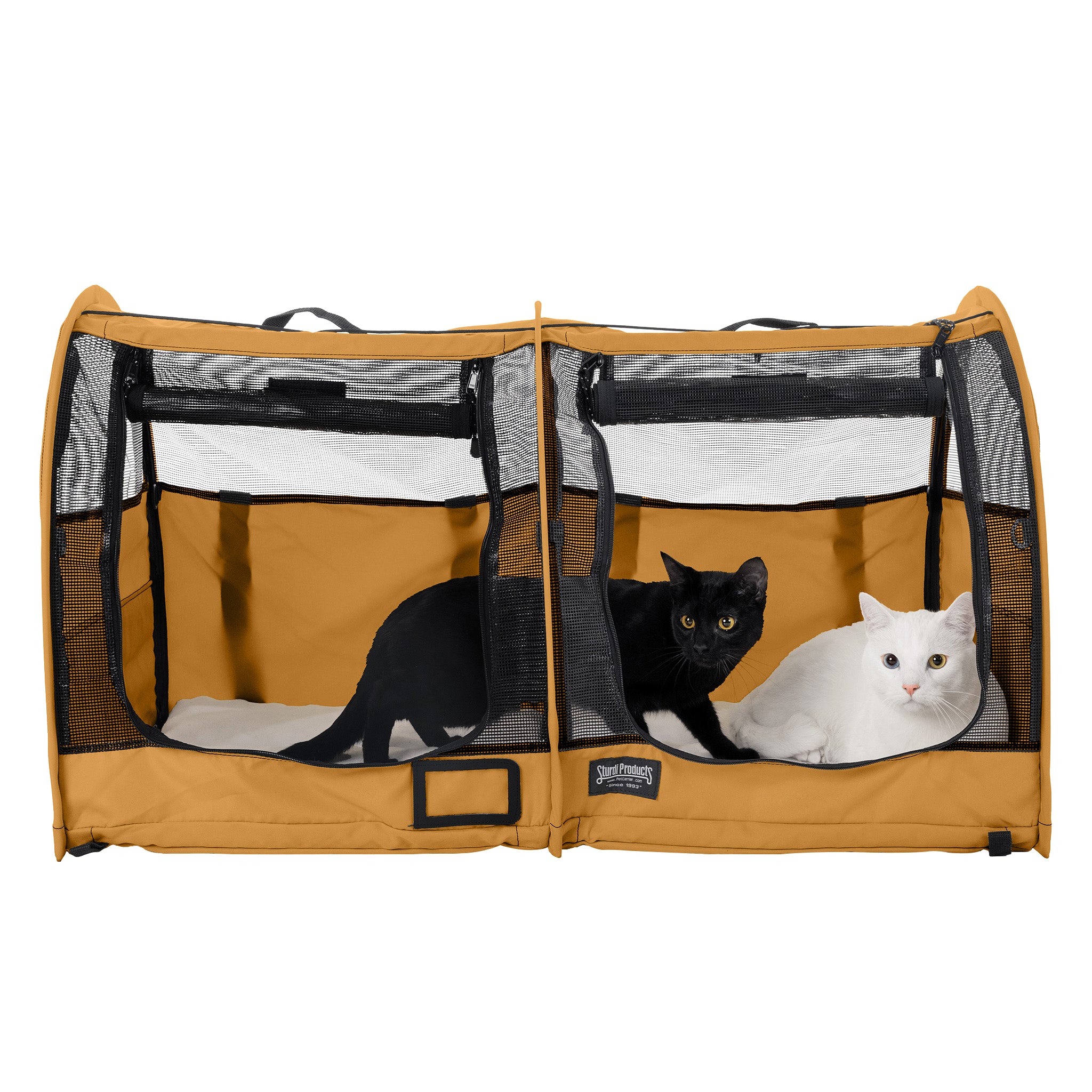 Orange CarGo double pop-up kennel with black and white cats inside, featuring mesh doors and durable fabric.