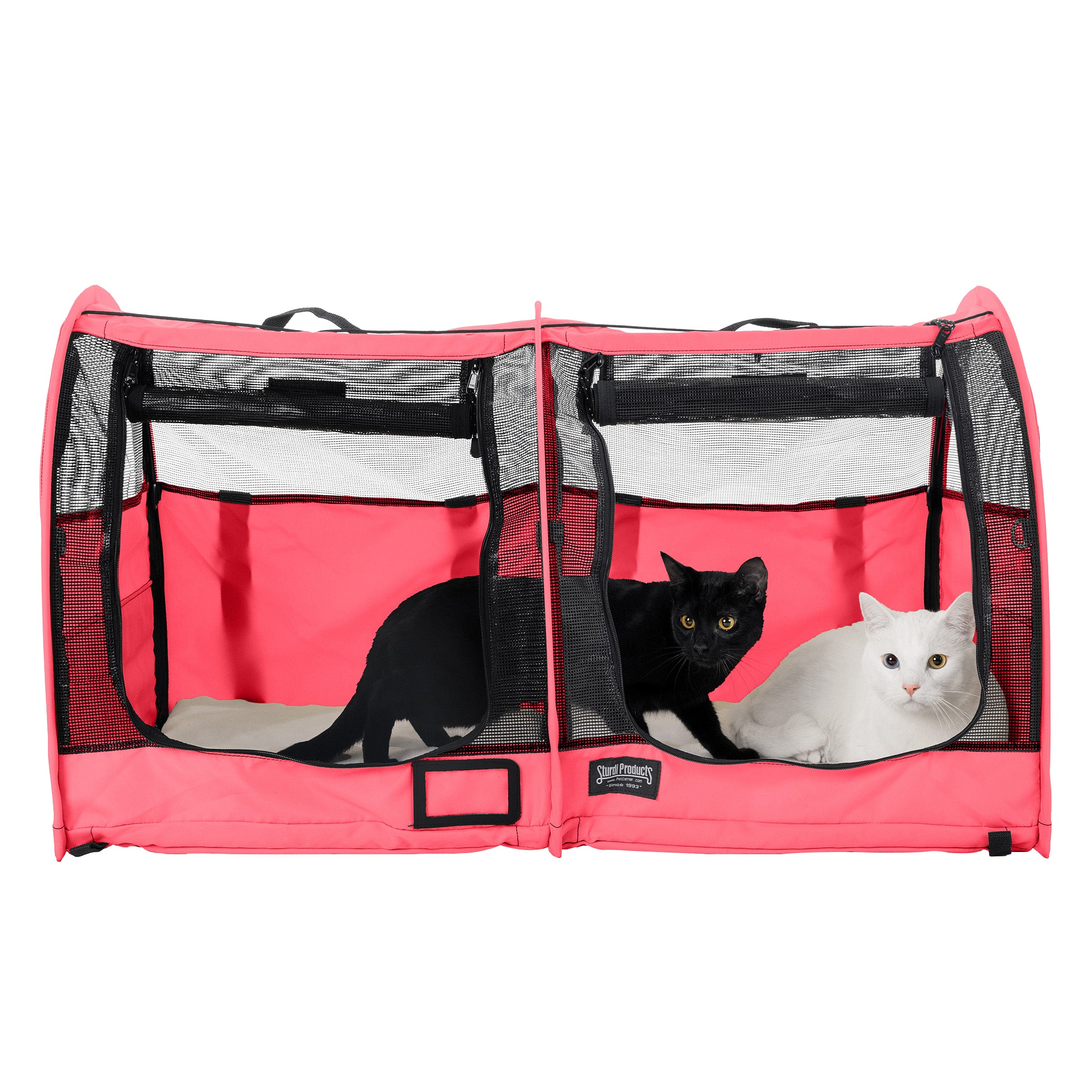 Pink CarGo double pop-up kennel with mesh doors, housing a black cat and a white cat.