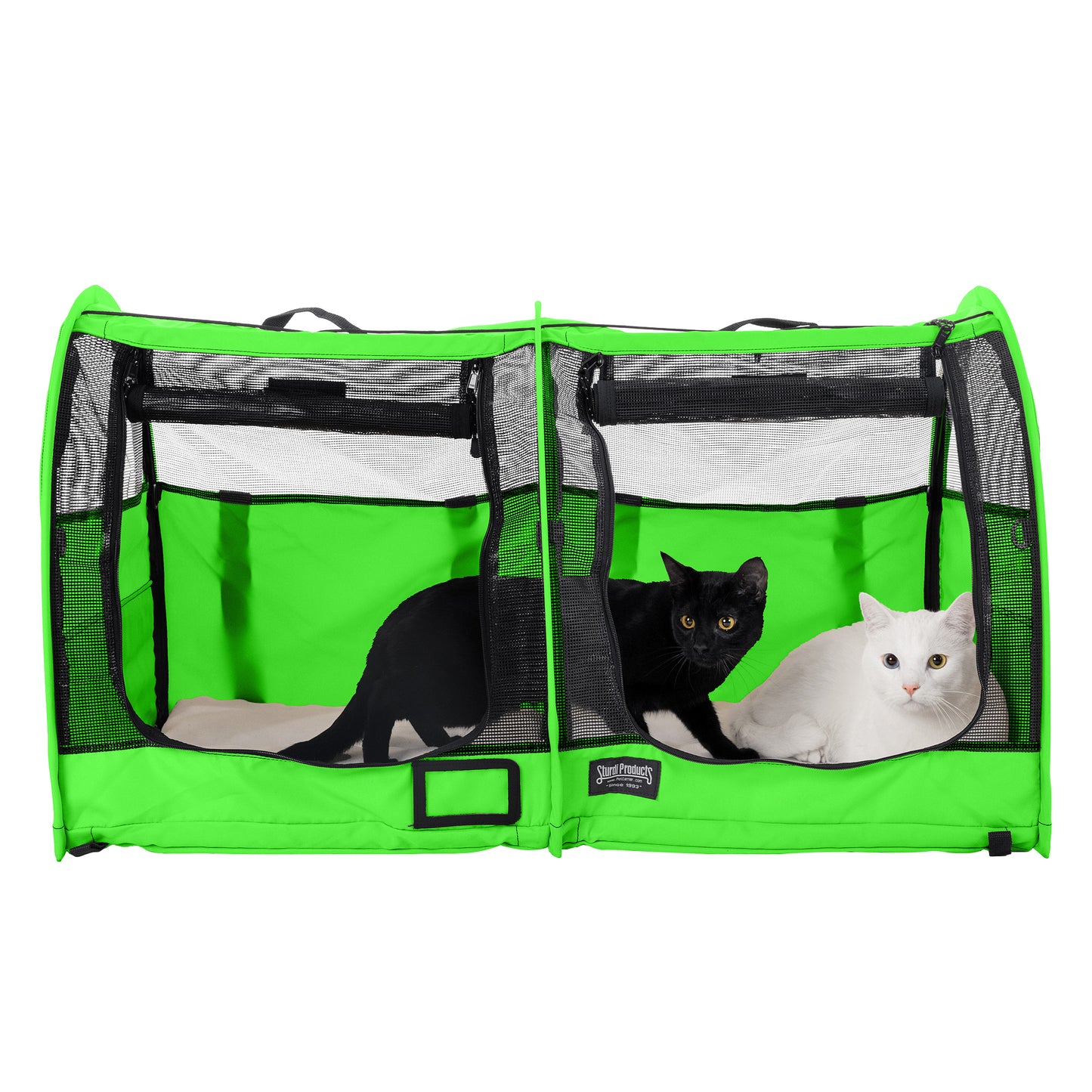 Green CarGo double pop-up kennel with black and white cats, mesh doors, and a divider.