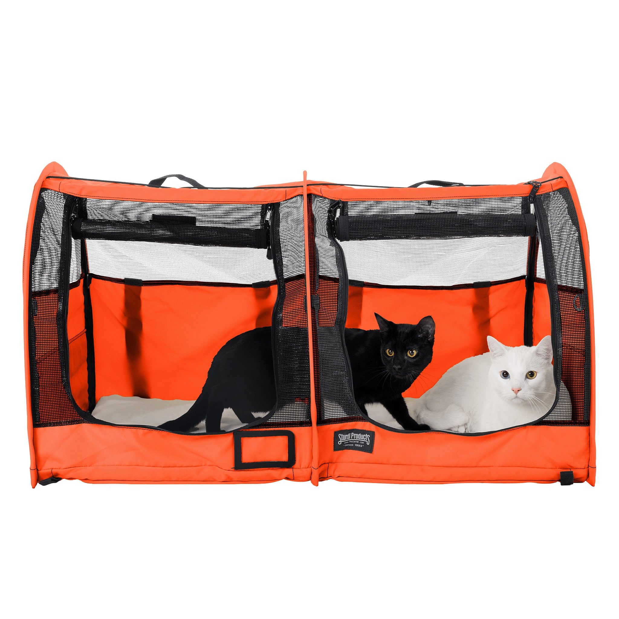 Orange CarGo double pop-up kennel with black mesh doors, holding a black cat and a white cat.