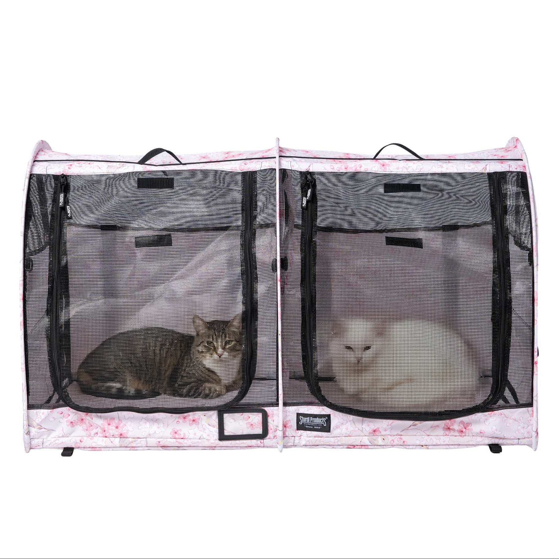CarGo Portable Pop-Up Kennel