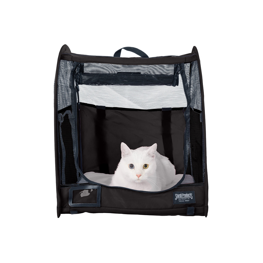 Black CarGo Pop-Up Kennel with mesh doors, featuring a white cat inside.
