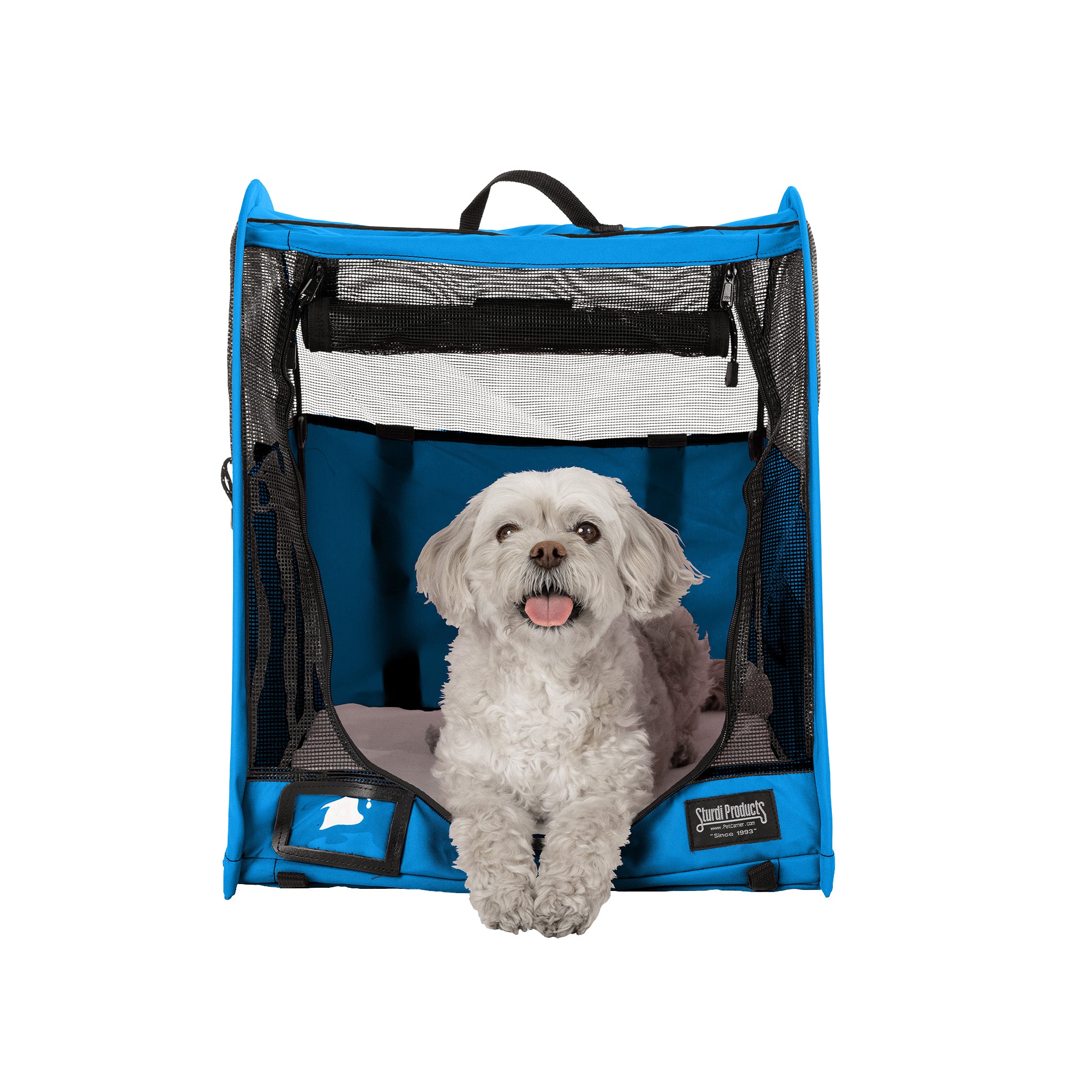 White dog in a blue CarGo Pop-Up Kennel with mesh doors, made from durable polyester fabric.