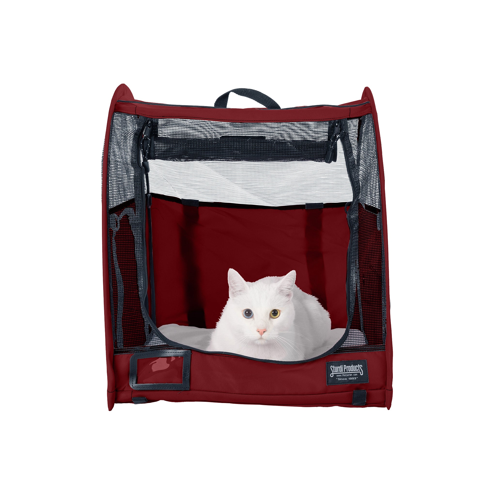 White cat in a red CarGo Portable Pop-Up Kennel with mesh doors and a soft pad.