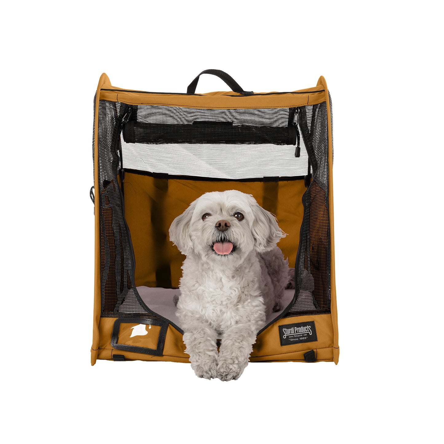 White dog in a brown CarGo Pop-Up Kennel with black mesh doors and a top handle.
