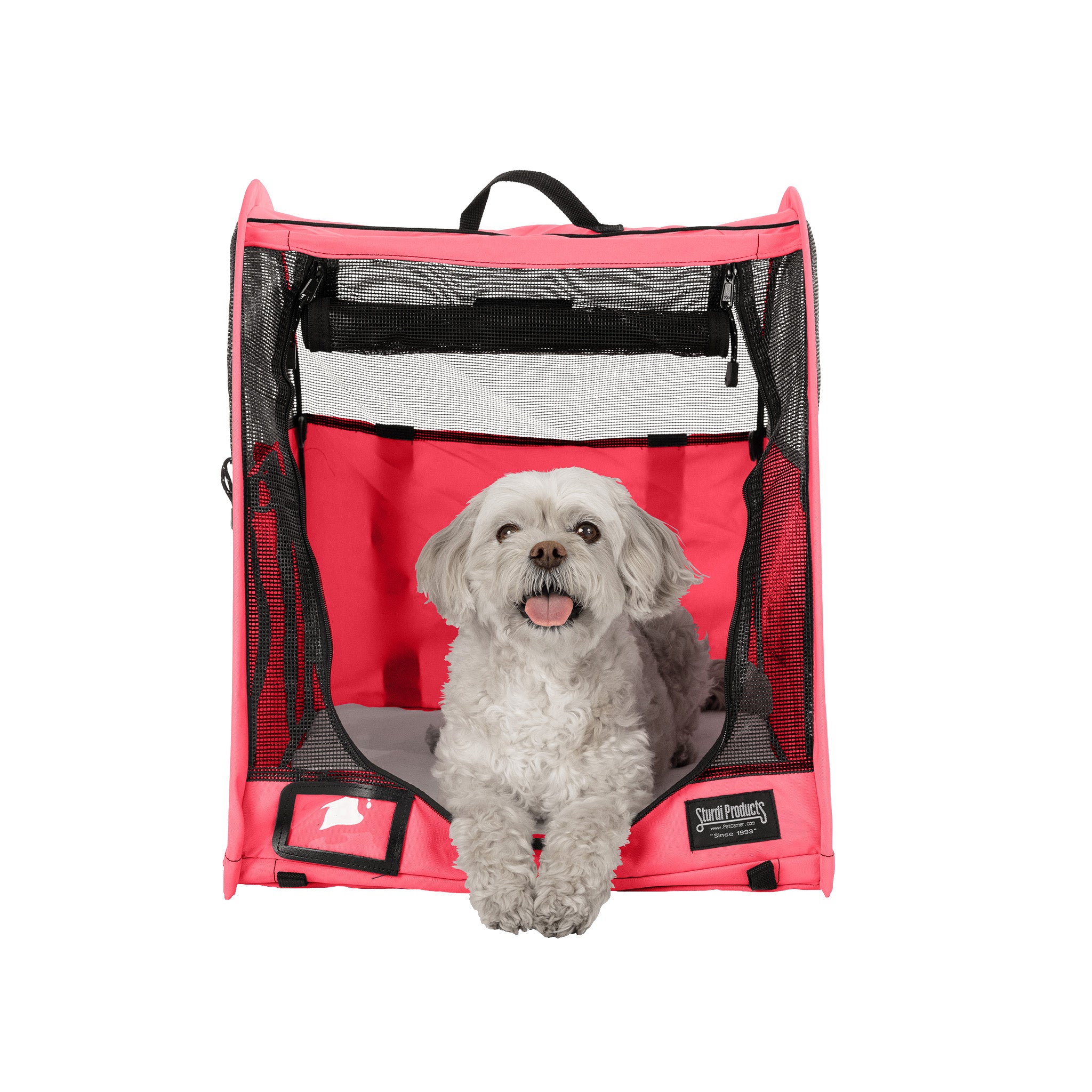 Pink CarGo Pop-Up Kennel with a small white dog inside, featuring mesh windows and a carrying handle.