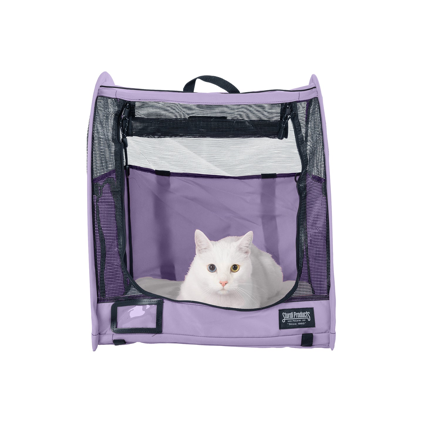 Purple CarGo Pop-Up Kennel with mesh doors, a white cat inside, and a "Sturdi Products" logo.