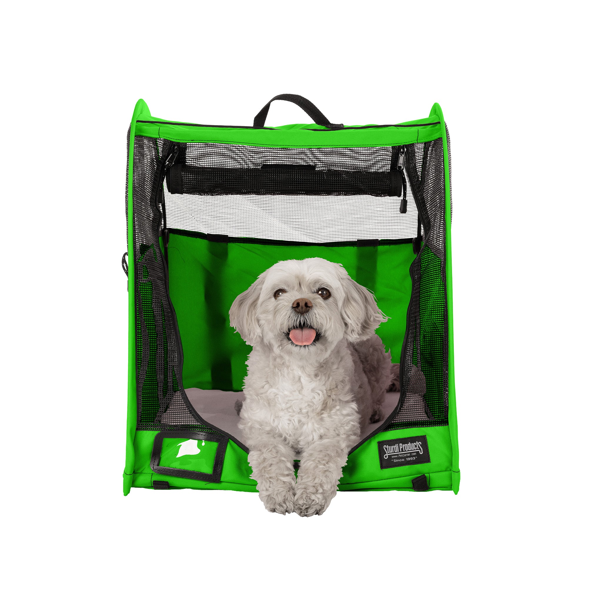 Green CarGo Pop-Up Kennel with mesh doors, a small white dog resting inside, and a top handle.