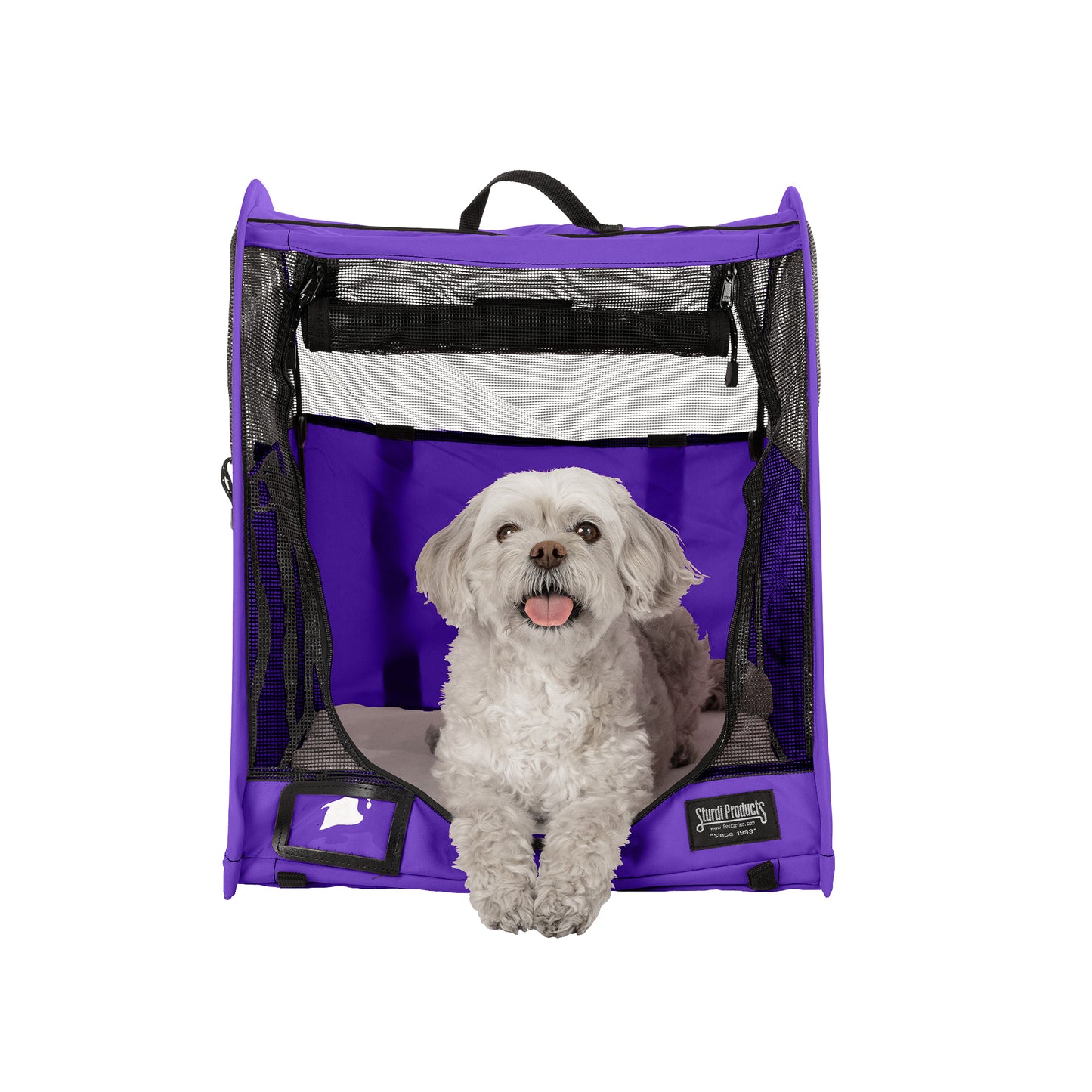 Small white dog in a purple CarGo Pop-Up Kennel with black mesh doors and a soft gray mat.
