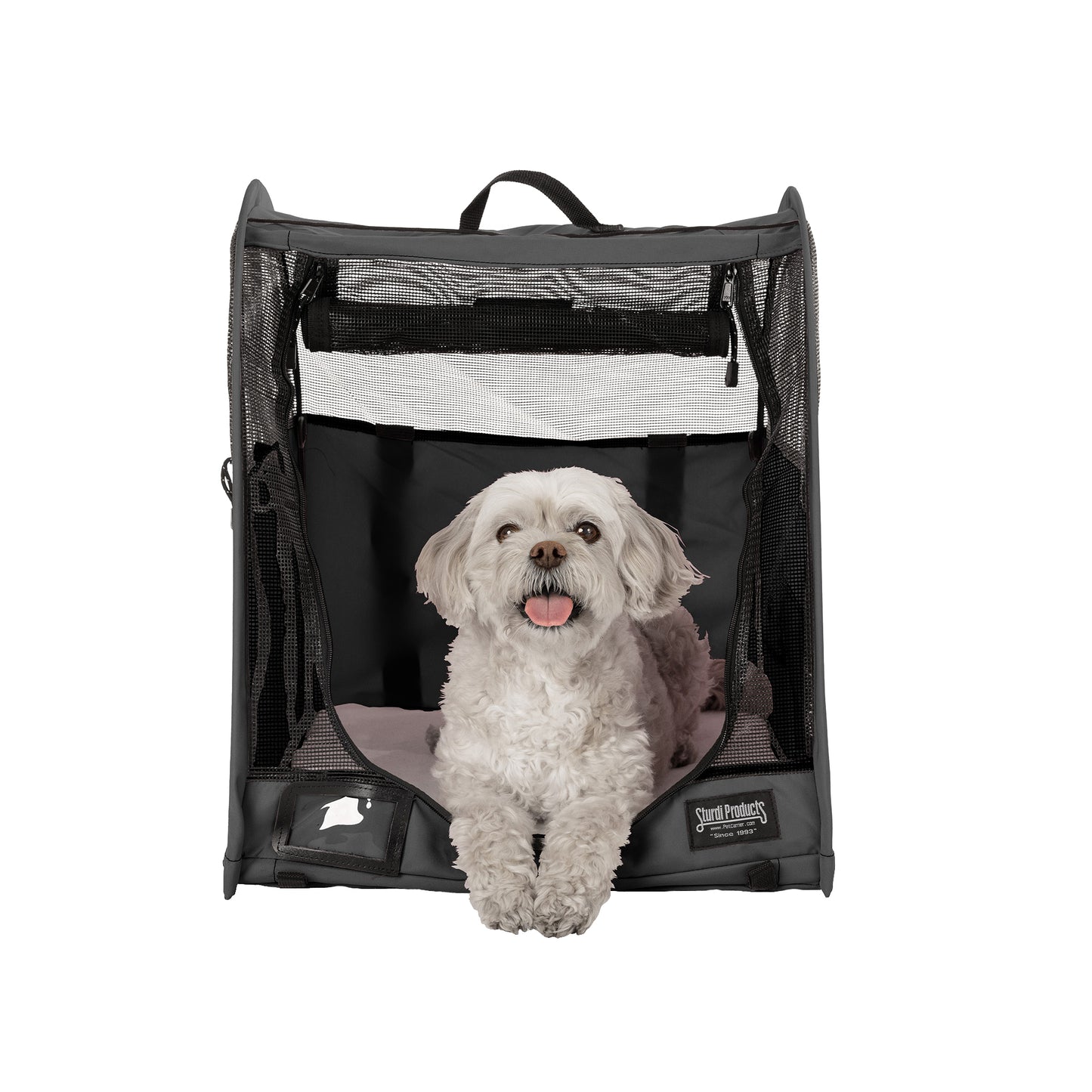 White dog in a dark gray CarGo Portable Pop-Up Kennel with mesh sides and front, on a white background.