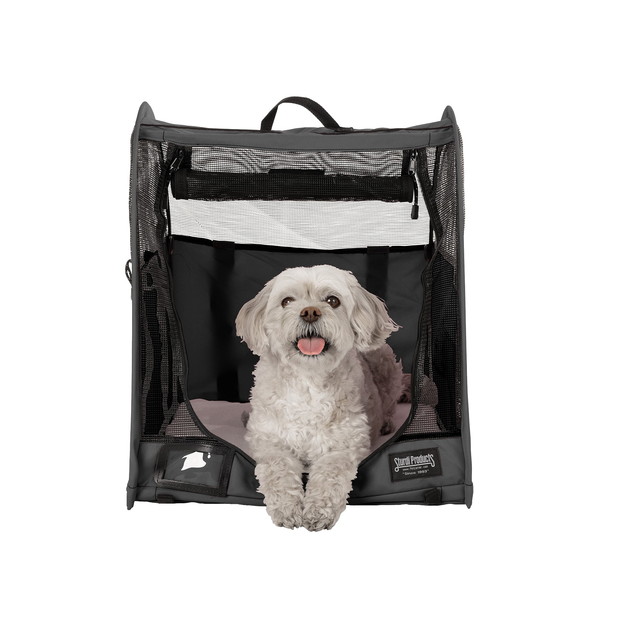 White dog in a dark gray CarGo Portable Pop-Up Kennel with mesh sides and front, on a white background.
