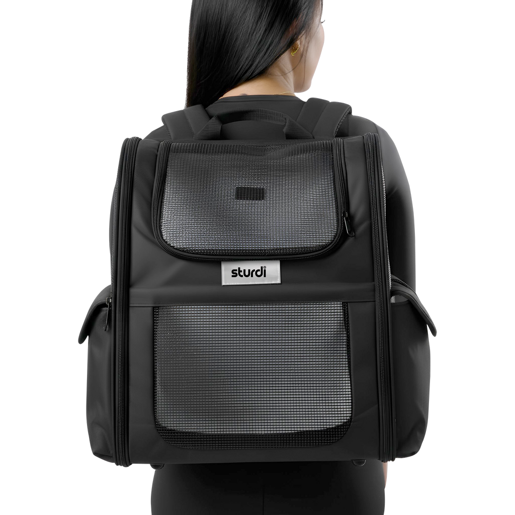 Black Sturdi pet backpack with mesh panels, worn by a person from behind.