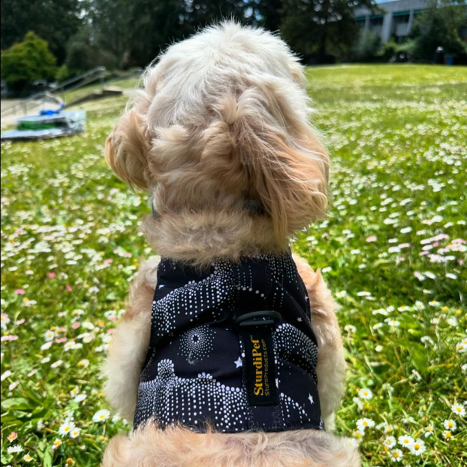 LE Walking Vest-walking vest-Sturdi Products-Sturdi Products