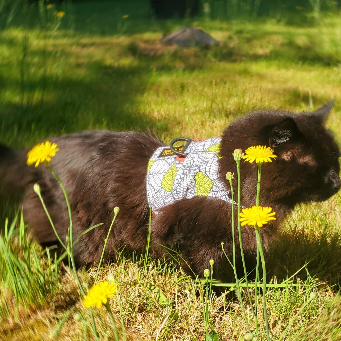 LE Walking Vest-walking vest-Sturdi Products-Sturdi Products