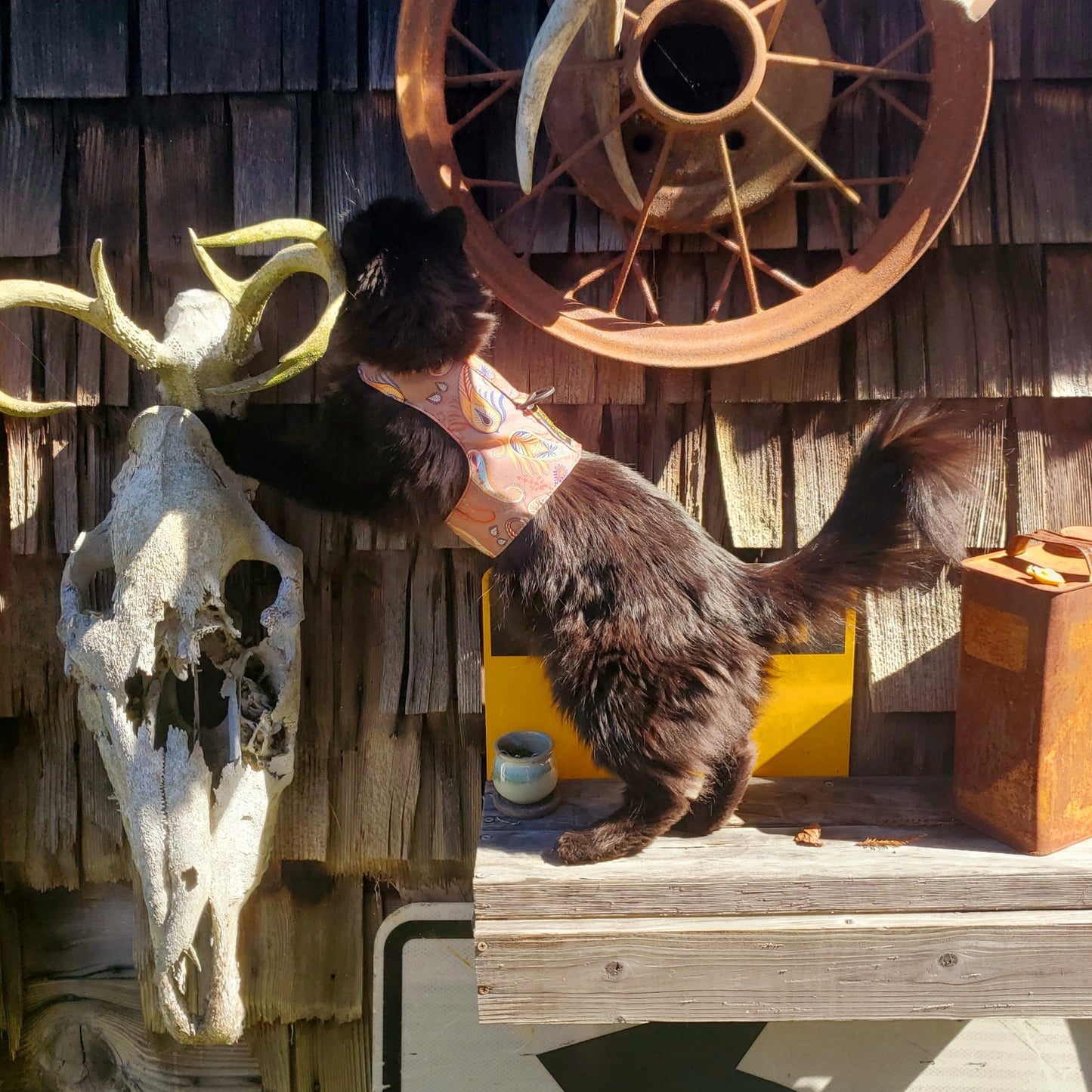 LE Walking Vest-walking vest-Sturdi Products-Sturdi Products