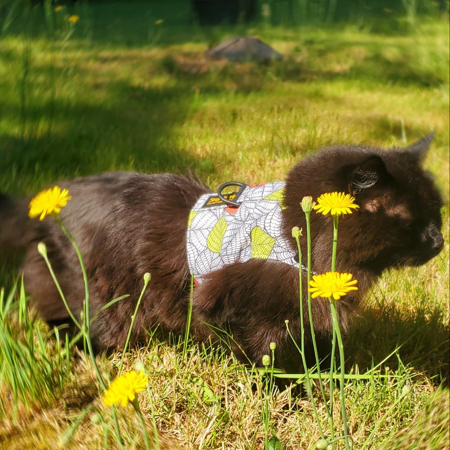 LE Walking Vest-walking vest-Sturdi Products-Sturdi Products